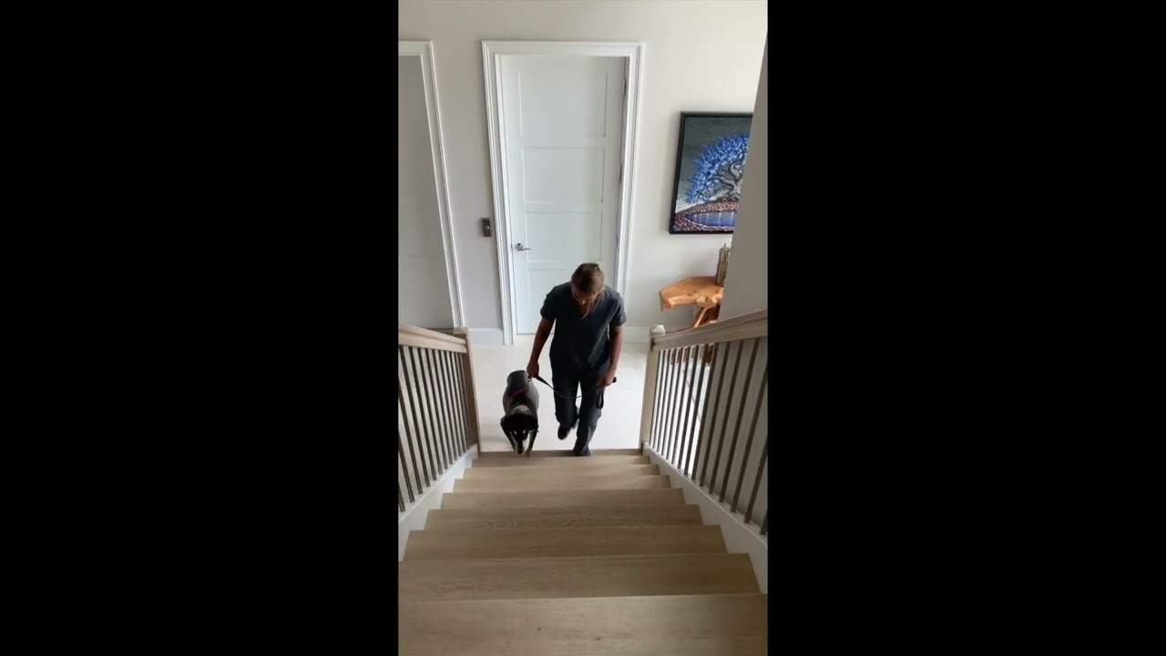 How To Use The Stairs After Orthopedic Surgery