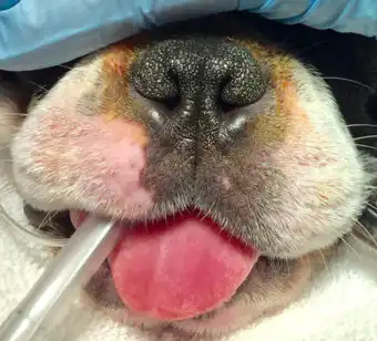 Before nose correction