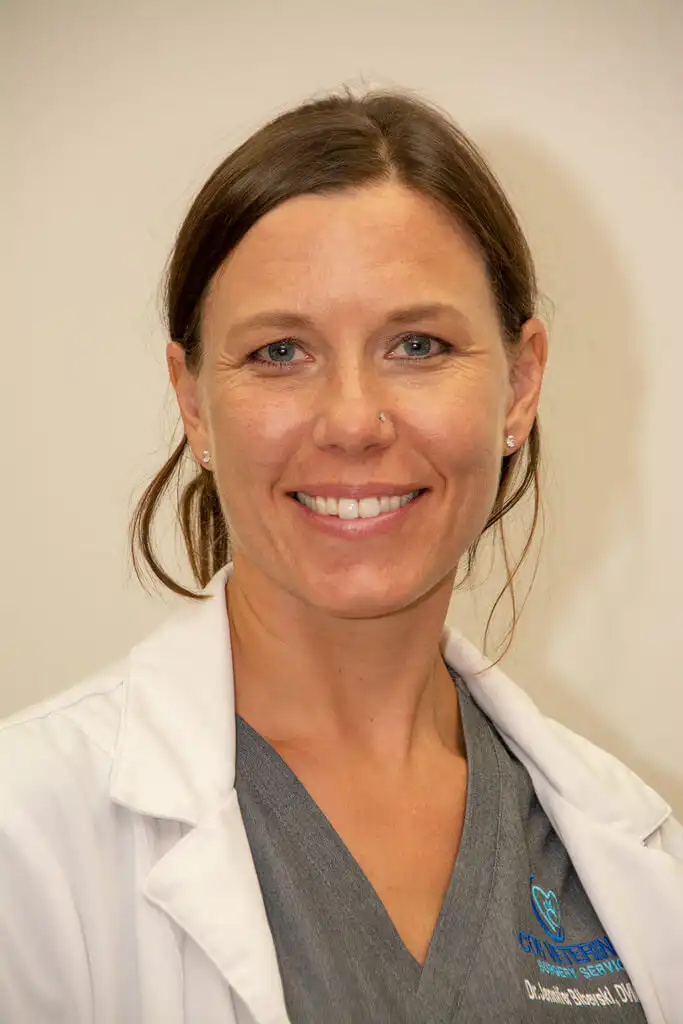 Dr. Jennifer Bibevski, DVM, DACVS
